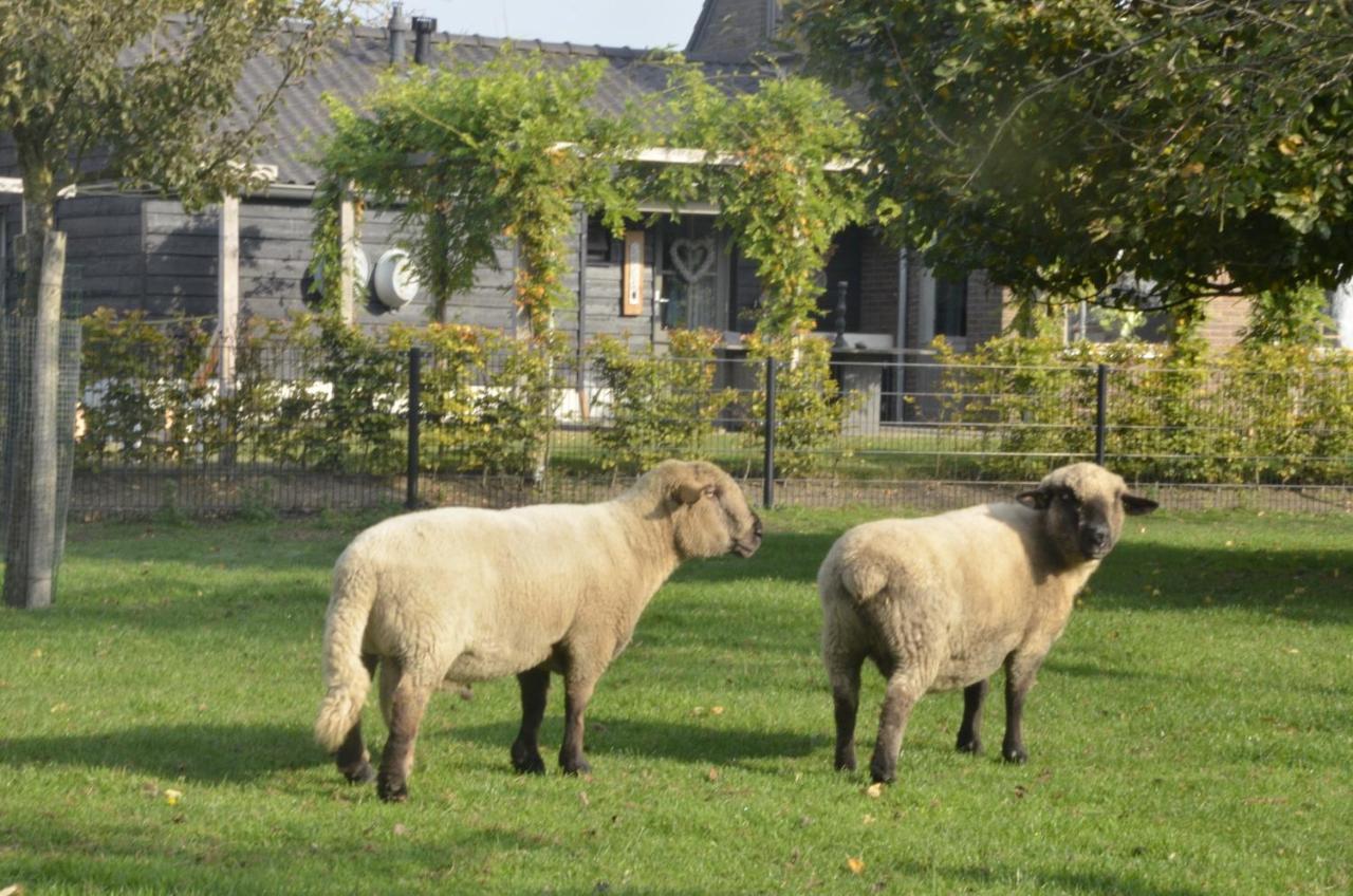 Guesthouse De Bongerd Overberg, B&B Holland, The Orchard Екстериор снимка