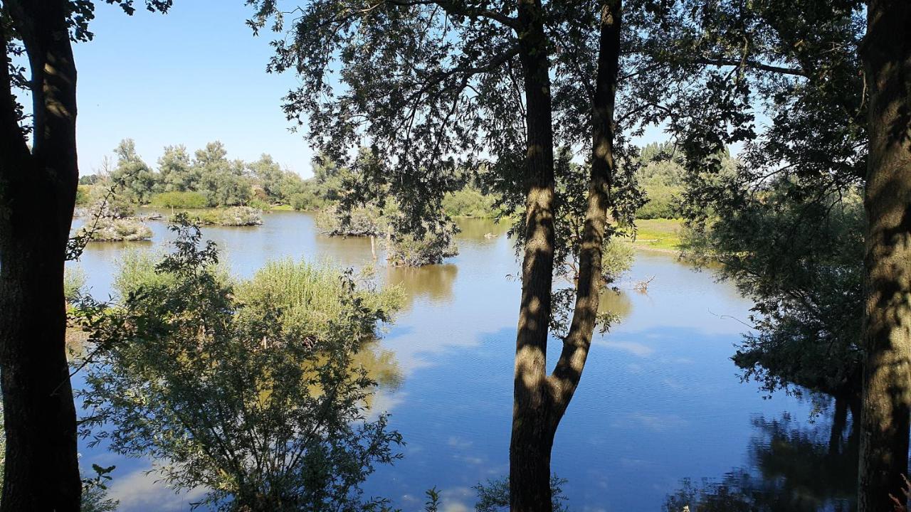 Guesthouse De Bongerd Overberg, B&B Holland, The Orchard Екстериор снимка